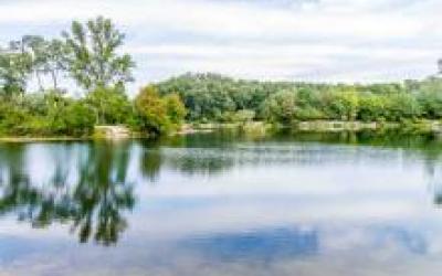 Panoramabild der Lobau mit blauem Wasser, in dem sich die grünen Bäume und Büsche spiegeln