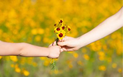Mitten in der Blumenwiese: Zwei Hände, eine größere und eine kleinere, reichen sich einen kleinen Blumenstrauß mit gelben Blüten