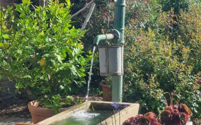 Hausbrunnen mit fließendem Wasser, umgeben von Blumen und Pflanzen