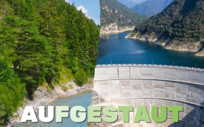 Sujet vom Aufgestaut Podcast von GLOBAL 2000 mit Wald, Wasser und einem Staudamm als Bildmontage