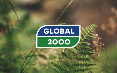 Logo von GLOBAL 2000 vor unscharfem Hintergrund mit Farn und Gräsern