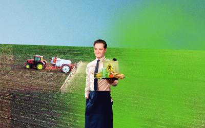 Bildmontage für Email-Protest: Norbert Totschnig mit Schürze hält Tablett mit gelbem Behälter mit Gefahrenzeichen und Obst vor grünem und braunem Feld, im Hintergrund Traktor auf Acker, der Pestizide versprüht