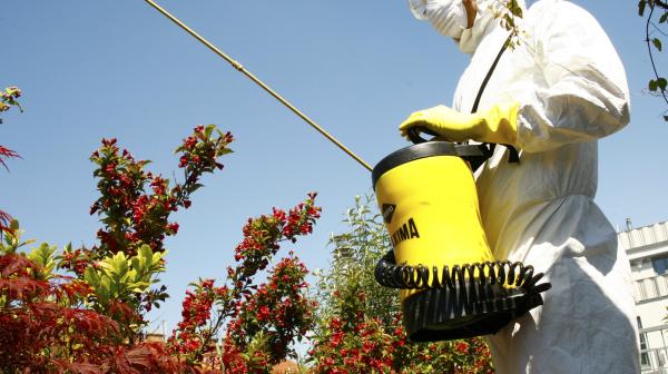 Pestizide (c) Caro Steiger