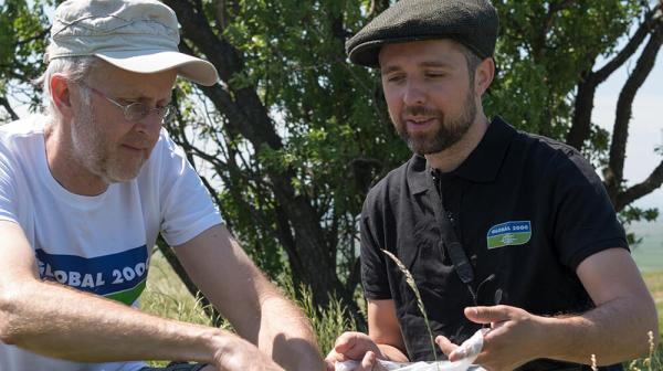 Ackerrandstreifen-Test