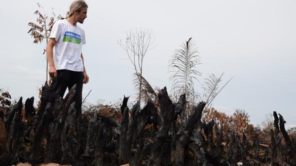 Verbranntes Land in Pekanbaru