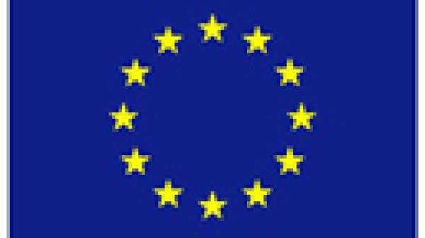 EU Flagge