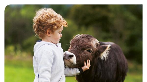 Teaser GLOBAL 2000 Jahresreport 2017 - Kalb & Kind