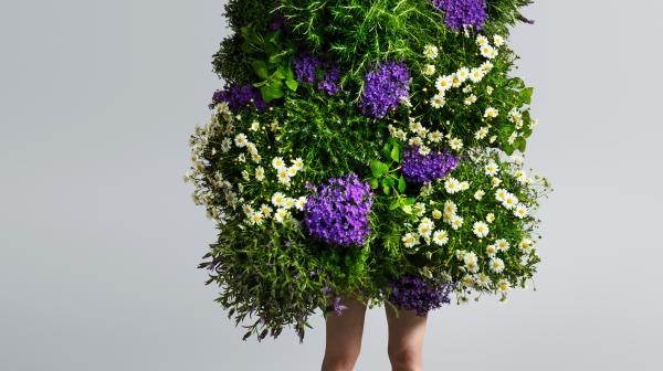 Nationalpark Garten Fotowettbewerb