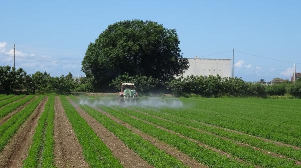 Pestizide werden auf einem Feld versprüht