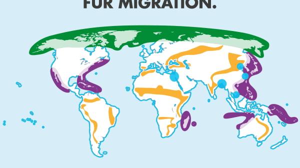 Von Klimamigration betroffene Gebiete