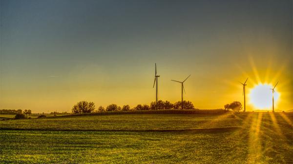 Sonnenuntergang auf einer Wiese mit Windrädern