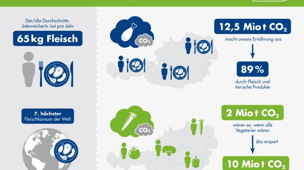 Grafik: Wie viel CO2 erzeugt unsere Essen?