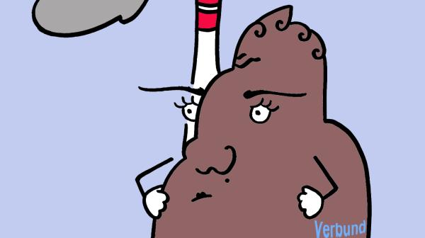 Melli, das Verbund Kohlekraftwerk