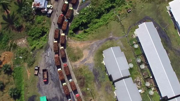 Palmölmühle von oben