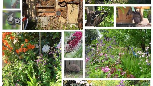 Nationalpark Garten Siegerfoto Platz 2