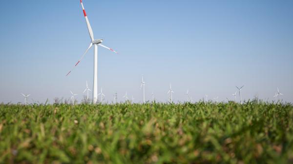 Windrad auf Wiese mit blauen Himmel