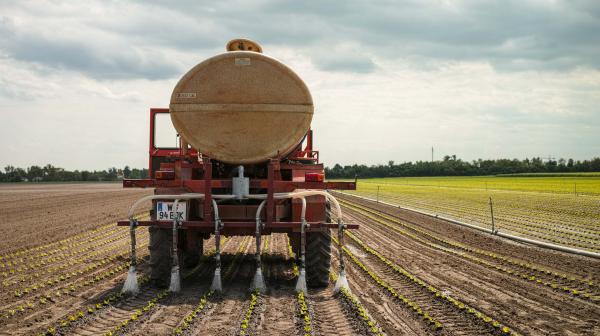 Traktor am Feld