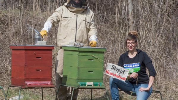 Global 2000 fordert Fairness für Erdäpfelbauern und Bienen