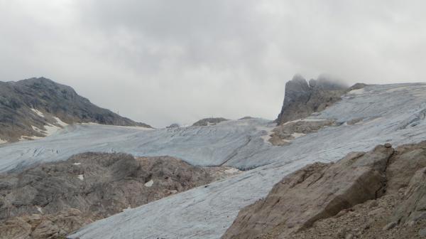AVISO: Spezialvorführung zum Filmstart von „Erde“