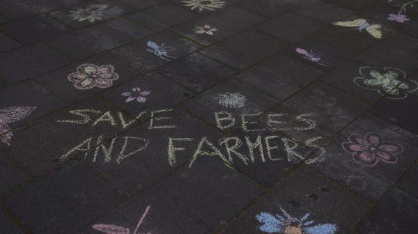 Tag der Bienen Kreideaktion