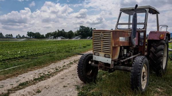 Salatanbau, Traktor am Feld