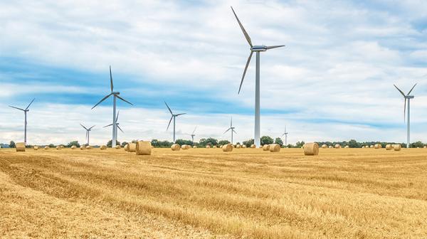 Windräder auf einem weiten Feld