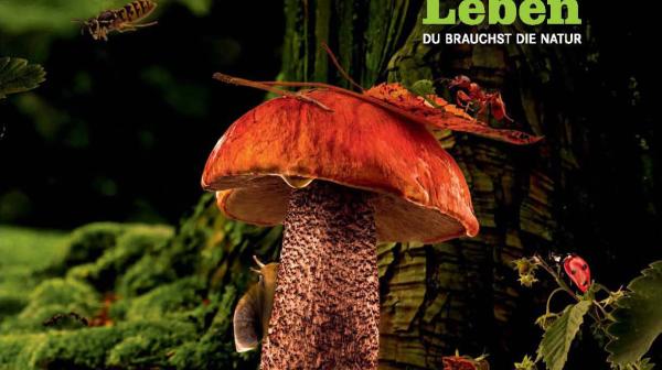 Multivision "ÜBER LEBEN - Du brauchst die Natur"