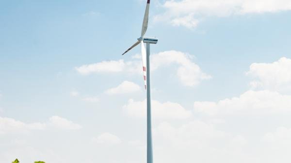 Windrad im Windpark Simmonsfeld mit Sommenblumenfeld