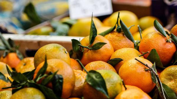Zitrusfrüchte wie Orangen und Zitronen