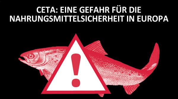 roter Fisch mit Rufzeichen auf schwarzem Hintergrund "CETA: eine Gefahr für die Nahrungsmittelsicherheit in Europa"