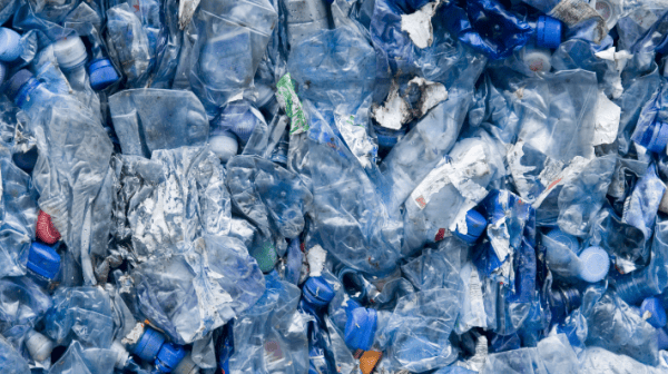 Vielzahl von eng zusammengedrückten Plastikflaschen