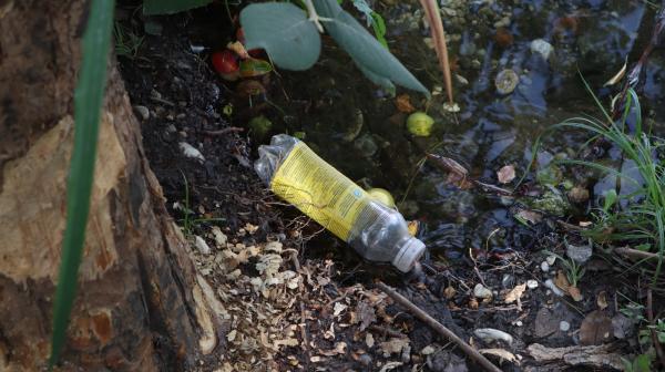 Abfälle in der Natur