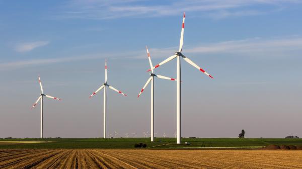 Windmühlen auf Feld