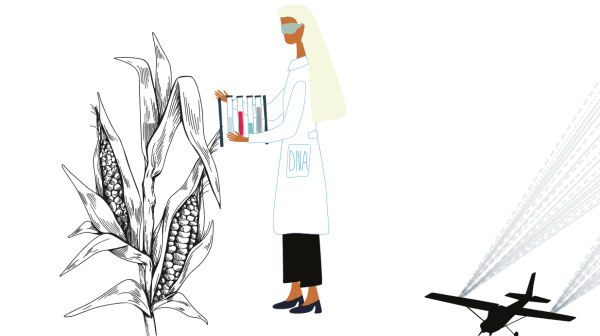 Öko-Risiken von Neuer Gentechnik