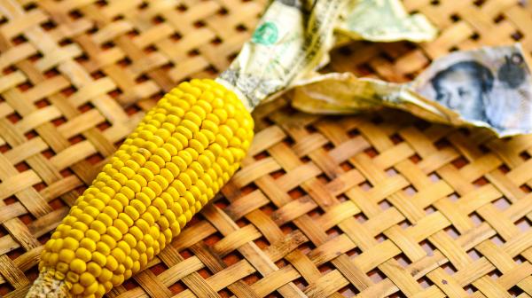 Patente und Neue Gentechnik 