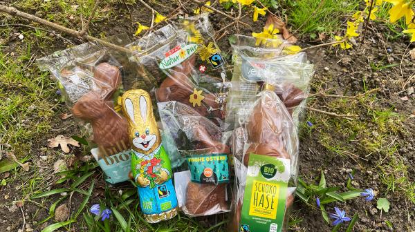 Sechs Sieger-Schokohasen auf einer Wiese mit Frühlingsblumen. 