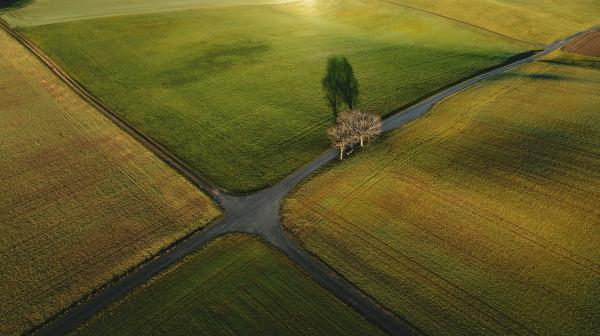 Feldweg-Kreuzung von oben fotografiert