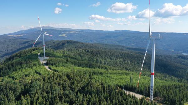 Windräder auf grüner Wiese