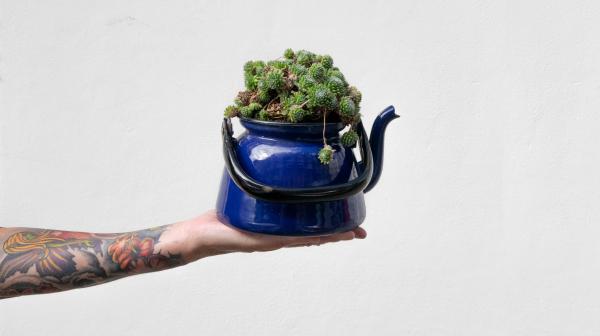 Hand mit Blumen-Kanne