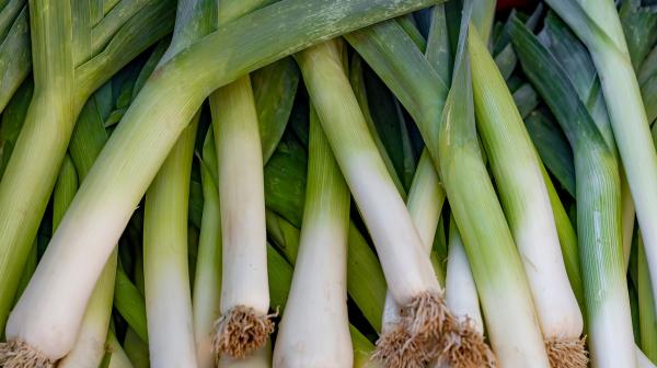 Lauch liegt gestapelt übereinander