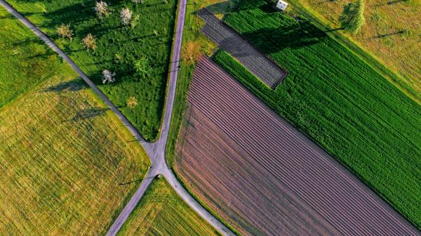 Foto, das Felder und Weg-Kreuzung von oben zeigt