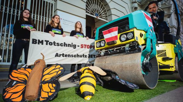 Foto der Aktion: Minister Totschnig fährt mit einer Walze über Bienen, Schmetterlinge und andere Insekten drüber. Dahinter stehen Aktivist:innen mit einem Transparent auf dem steht: Minister Totschnig: Stopp Pestizide. Artenschutz jetzt!