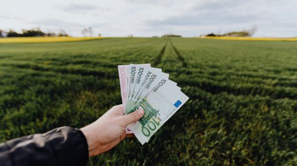 Hand hält Euro-Scheine in der Hand, im Hintergrund eine grüne landwirtschaftliche Fläche
