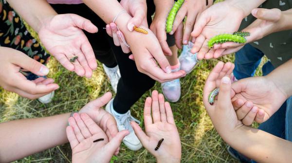 Kinder halten Raupen in der Hand
