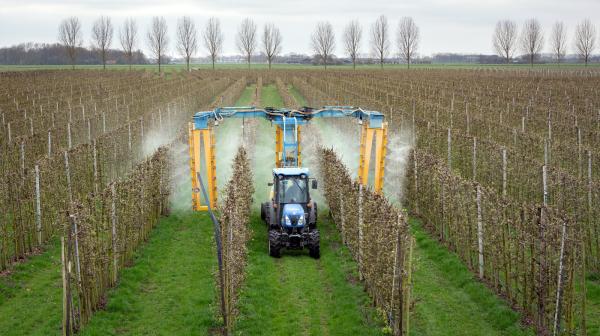 Pestizide werden auf Apfelplantage gesprüht 