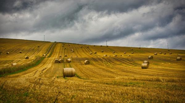 Stoppelfeld mit Strohballen