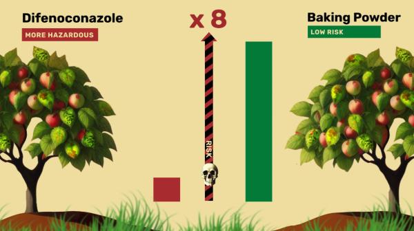 Standbild aus dem Video zum Indikator zum HRI 1 