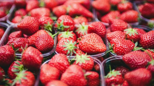Erdbeeren in Kunststoff-Verkaufstassen