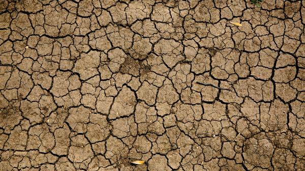 Trockener Boden