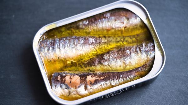 Geöffnete Sardinendose